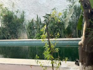 495720318 1030445629187961 1874364539461999964 n