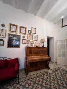 496158020 1030446085854582 6858426500596412728 n