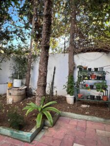 496159223 1030446355854555 3509934216323664185 n