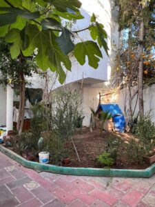 496421981 1030446295854561 6855304245854397592 n