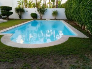 618977407 1230610005838188 4162310952895685092 n