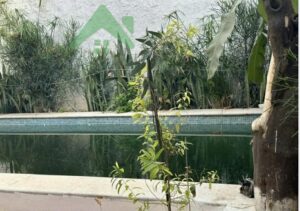 18a5d5e3 d09d 4237 820b 64712fd0cdcc