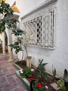 495637427 1030446415854549 5602617143682986803 n