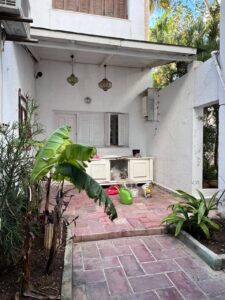 496052980 1030446385854552 2188174445662027957 n