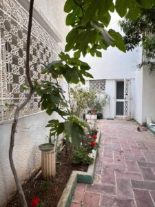 496302936 1030446322521225 1431738428407663814 n