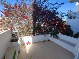 499545452 1037279411837916 7545881316877194291 n